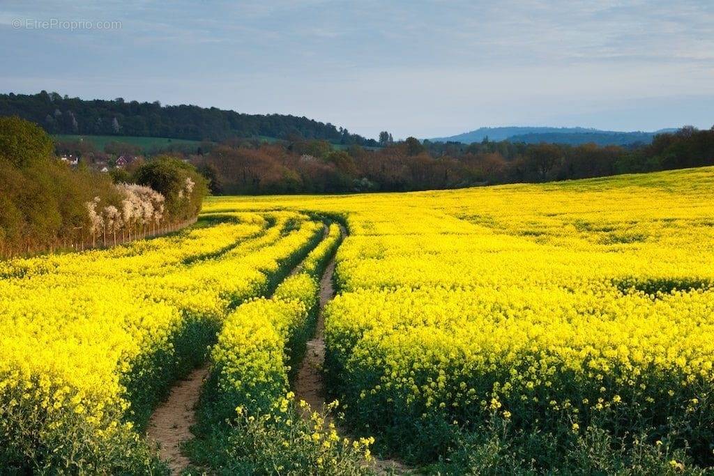 Terrain à BELLEVAUX