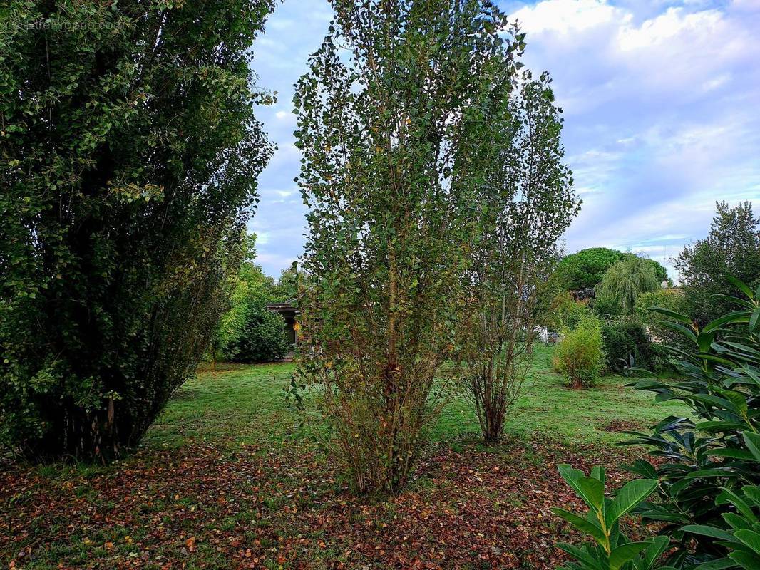 Terrain à SAINT-PALAIS-SUR-MER