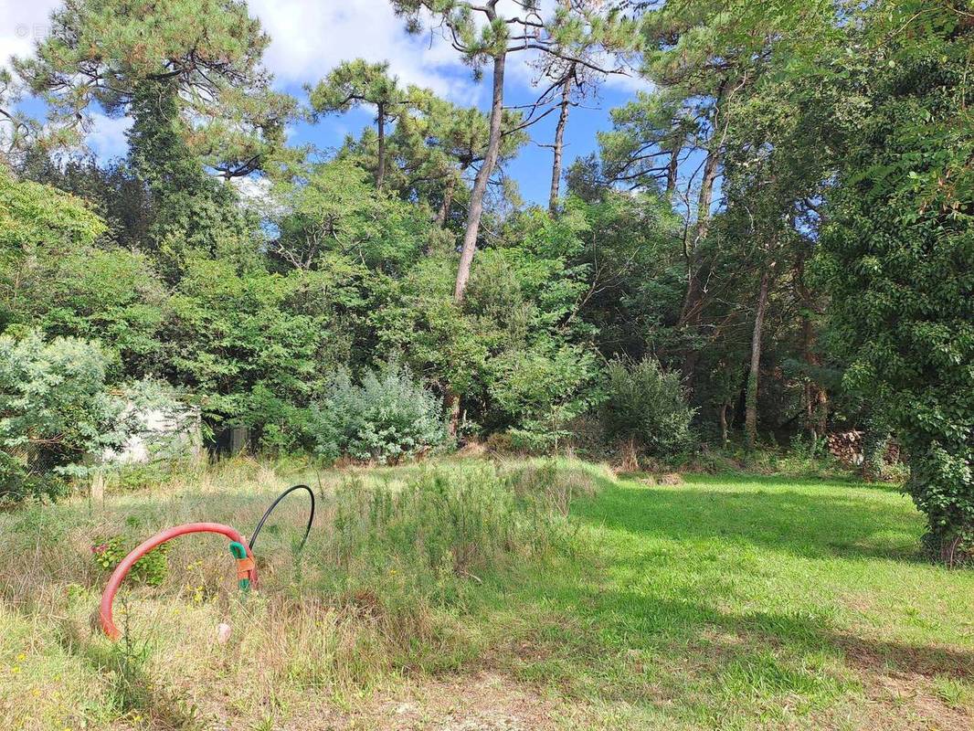 Terrain à SAINT-PALAIS-SUR-MER