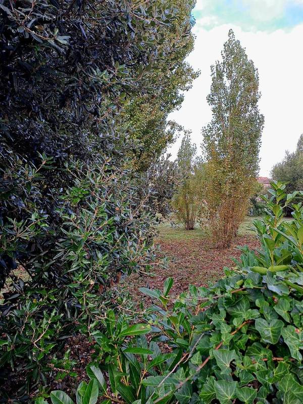 Terrain à SAINT-PALAIS-SUR-MER