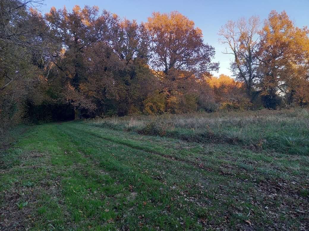 Terrain à SAUJON