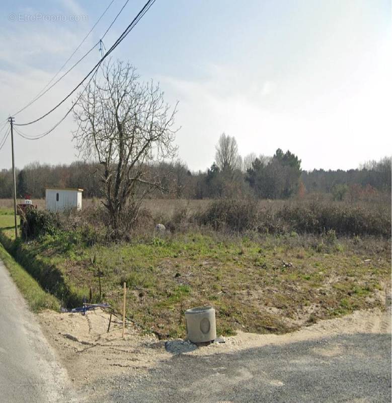 Terrain à DOLUS-D&#039;OLERON