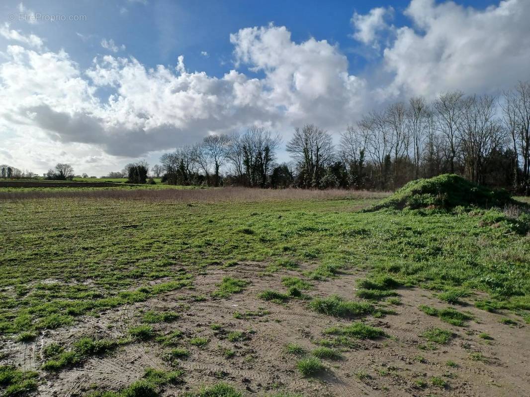 Terrain à LE CHATEAU-D&#039;OLERON