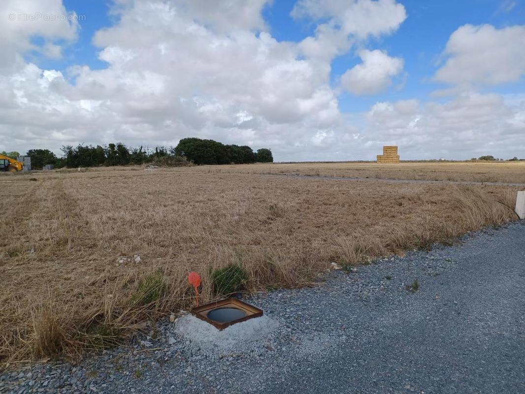 Terrain à DOMPIERRE-SUR-MER