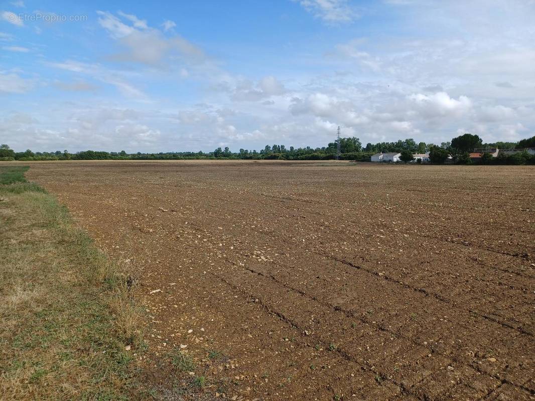 Terrain à VILLEDOUX