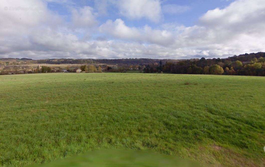 Terrain à LE BUISSON-DE-CADOUIN