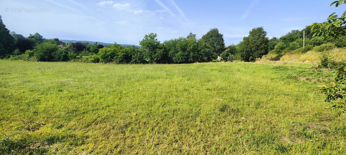 Terrain à SAINT-ANDRE-D&#039;ALLAS