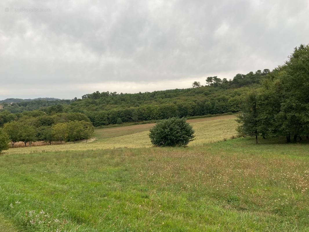 Terrain à SAINT-ANDRE-D&#039;ALLAS