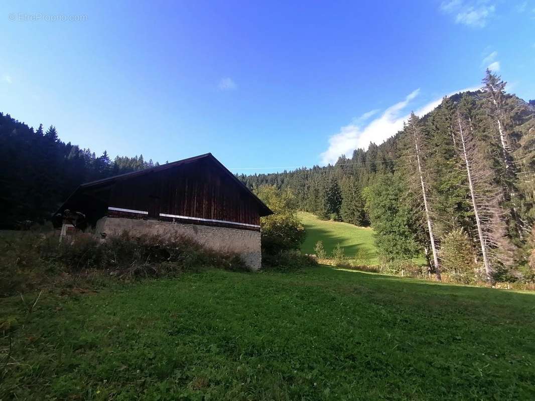 Maison à ABONDANCE