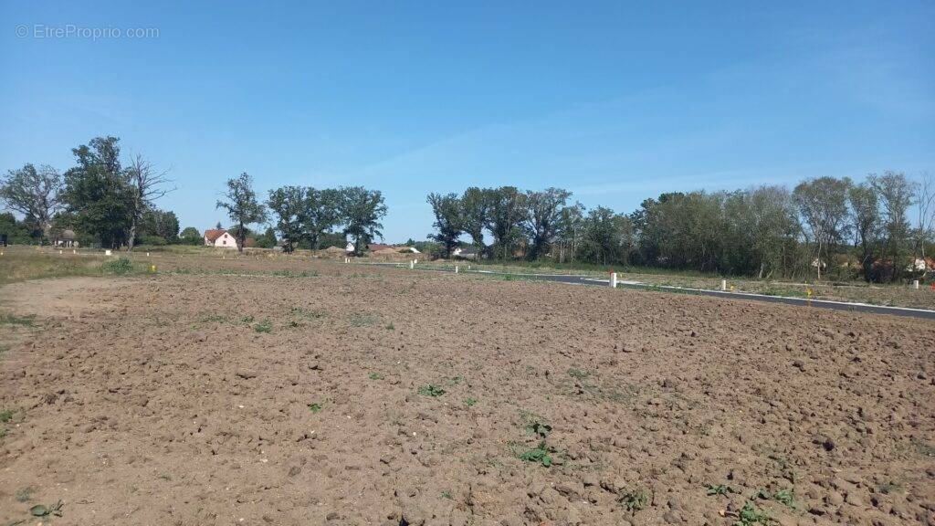 Terrain à BESSAY-SUR-ALLIER