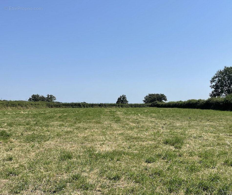 Terrain à PARAY-LE-MONIAL