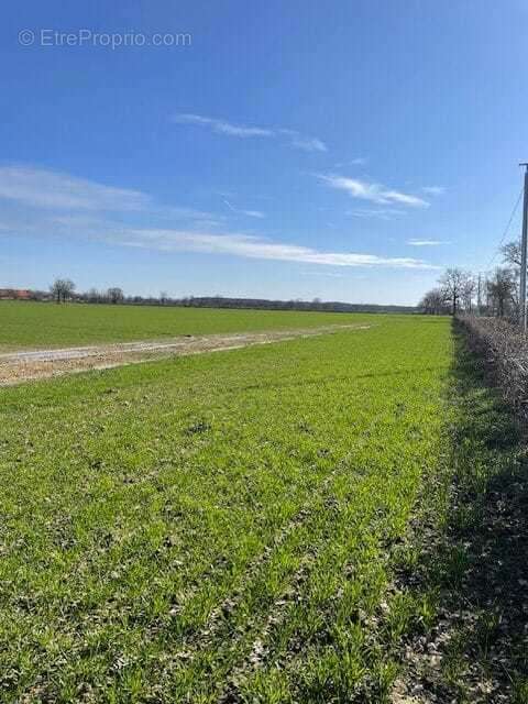 Terrain à VITRY-EN-CHAROLLAIS