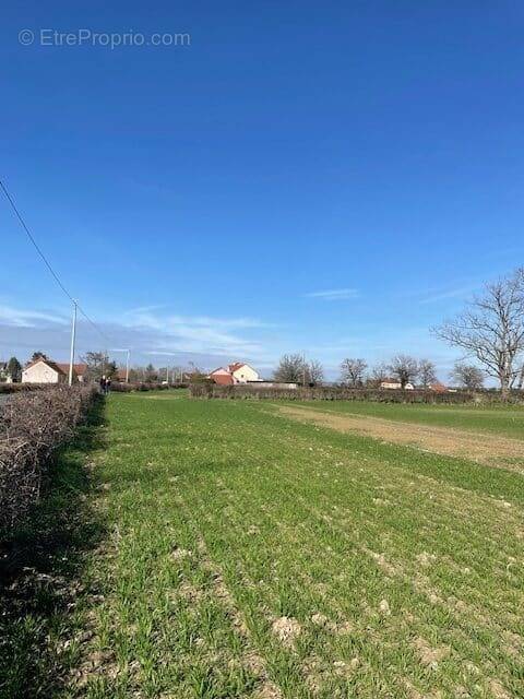 Terrain à VITRY-EN-CHAROLLAIS