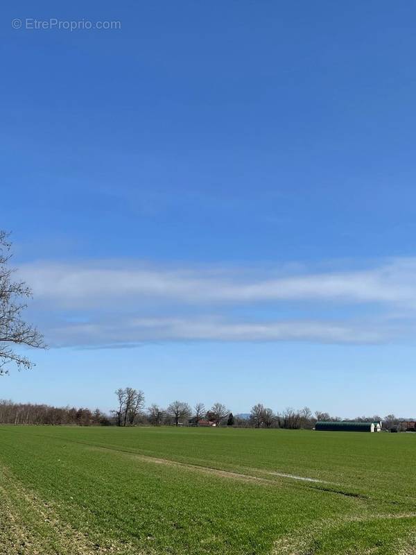 Terrain à VITRY-EN-CHAROLLAIS