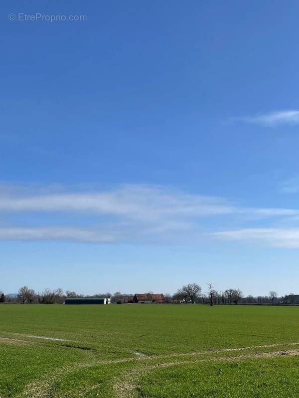 Terrain à VITRY-EN-CHAROLLAIS