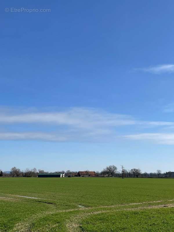 Terrain à VITRY-EN-CHAROLLAIS