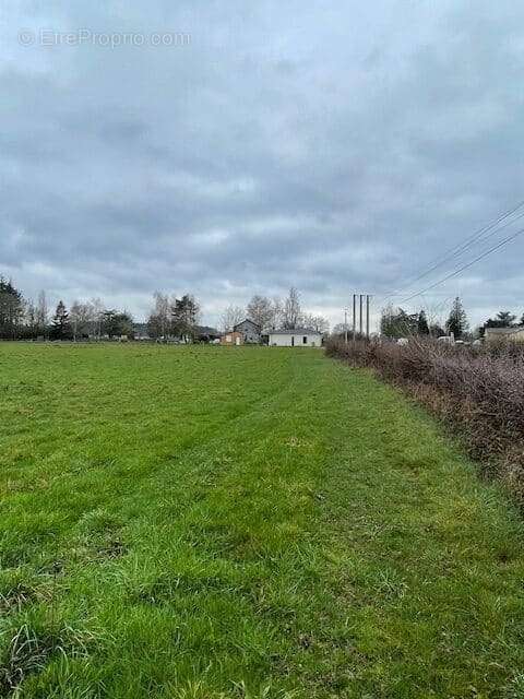 Terrain à PARAY-LE-MONIAL