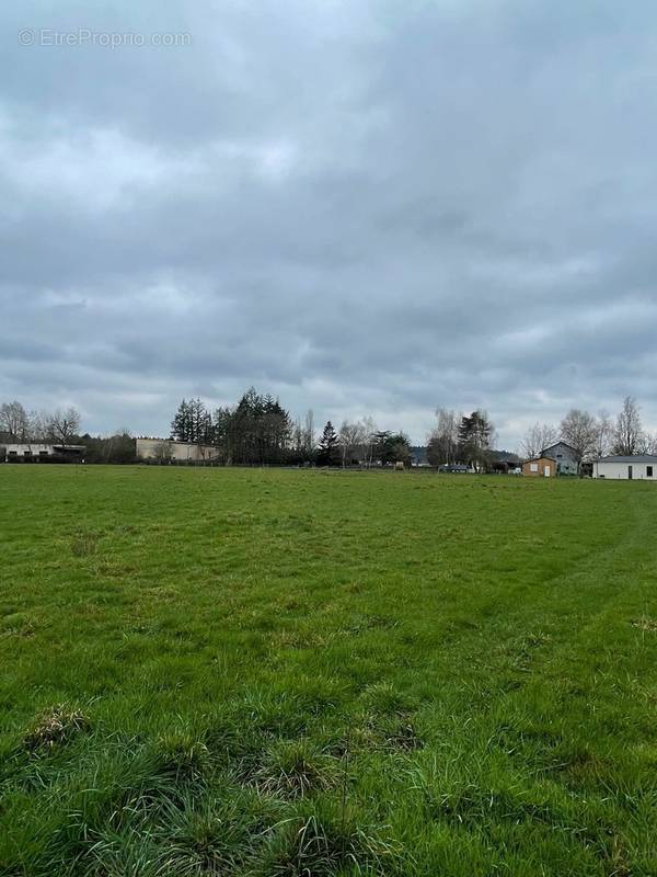 Terrain à PARAY-LE-MONIAL