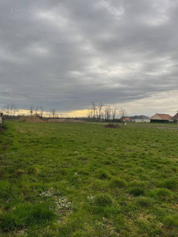 Terrain à RIGNY-SUR-ARROUX