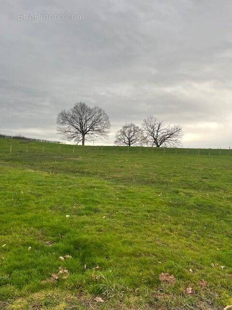 Terrain à GUEUGNON