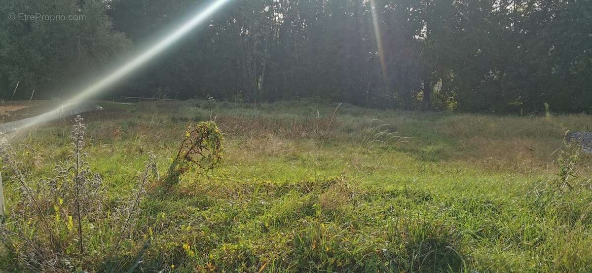 Terrain à SAINT-YORRE