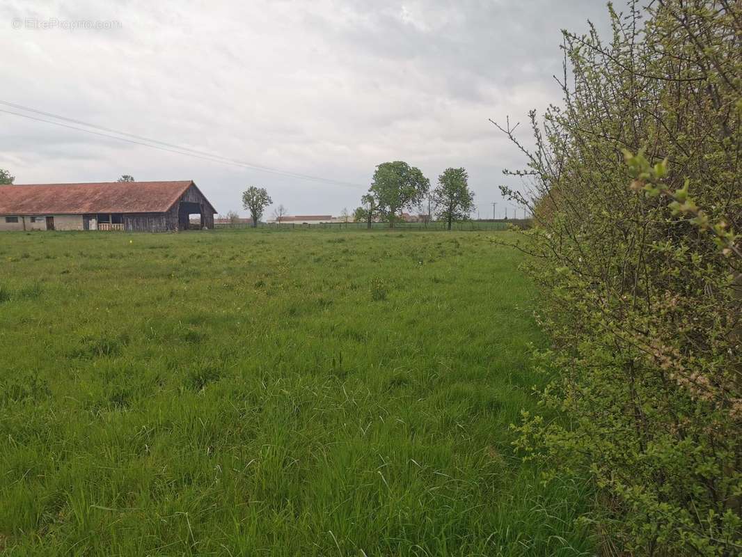 Terrain à SAINT-GERMAIN-DE-SALLES