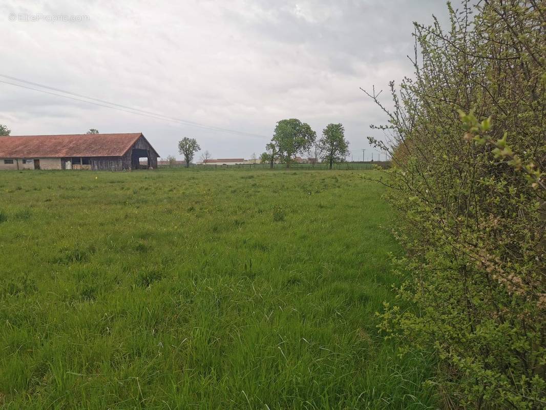 Terrain à SAINT-GERMAIN-DE-SALLES