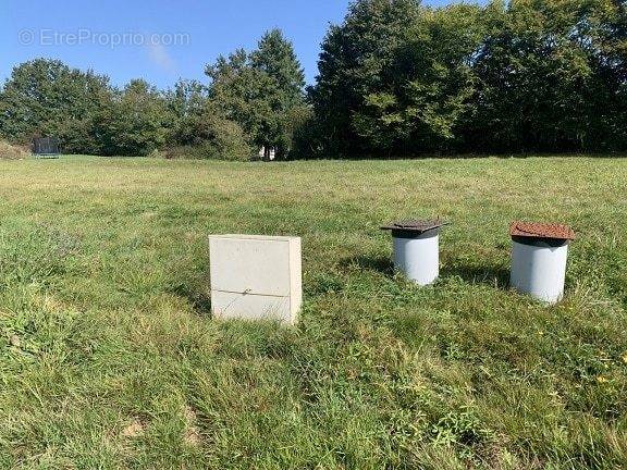 Terrain à PERRECY-LES-FORGES