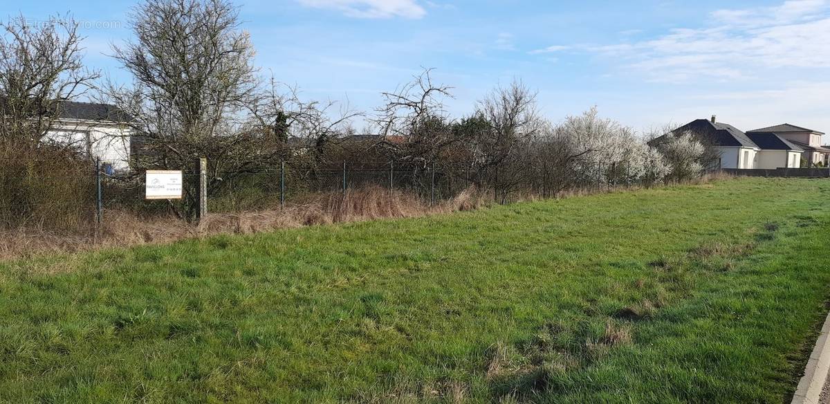 Terrain à FRIGNICOURT