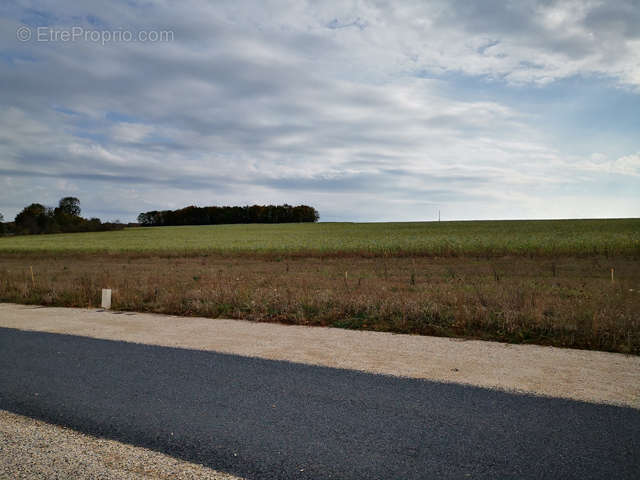 Terrain à RIMAUCOURT