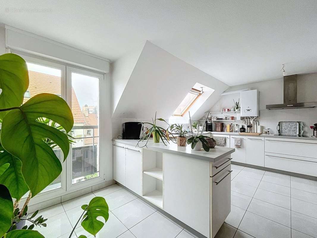 Appartement à SCHILTIGHEIM