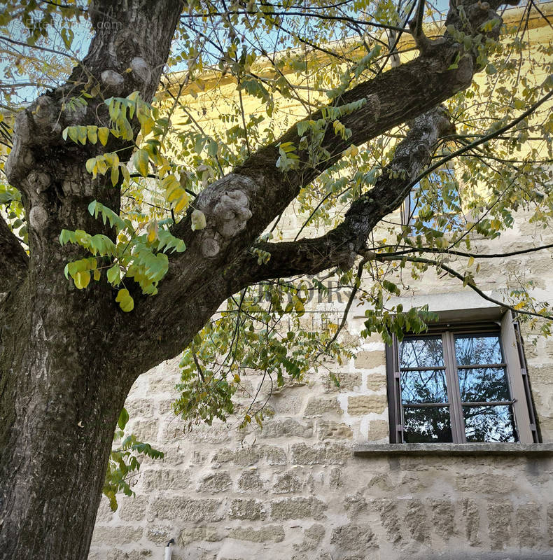 Maison à SAINT-QUENTIN-LA-POTERIE