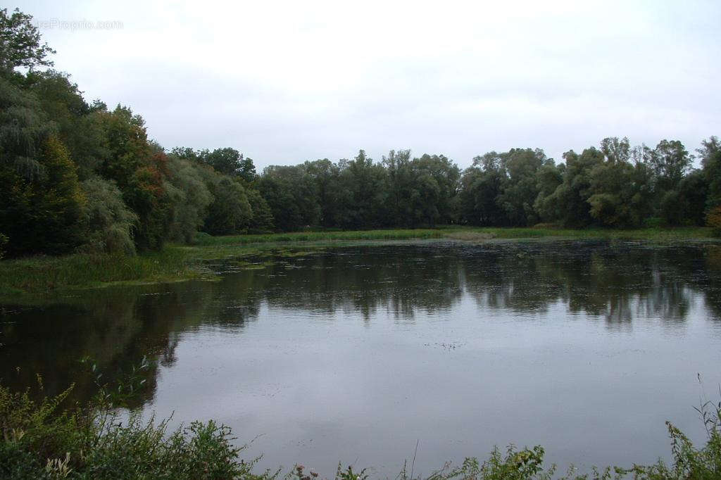 Terrain à CHATEAU-SALINS