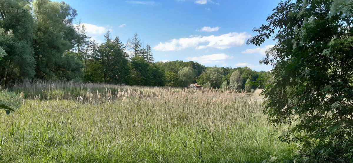 Terrain à CHATEAU-SALINS