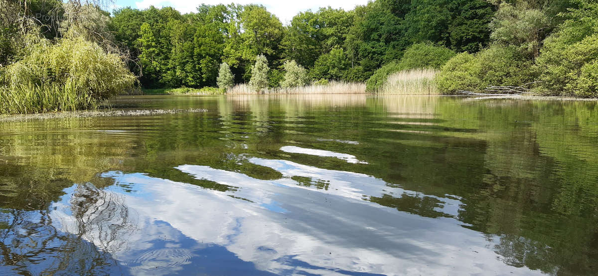 Terrain à CHATEAU-SALINS