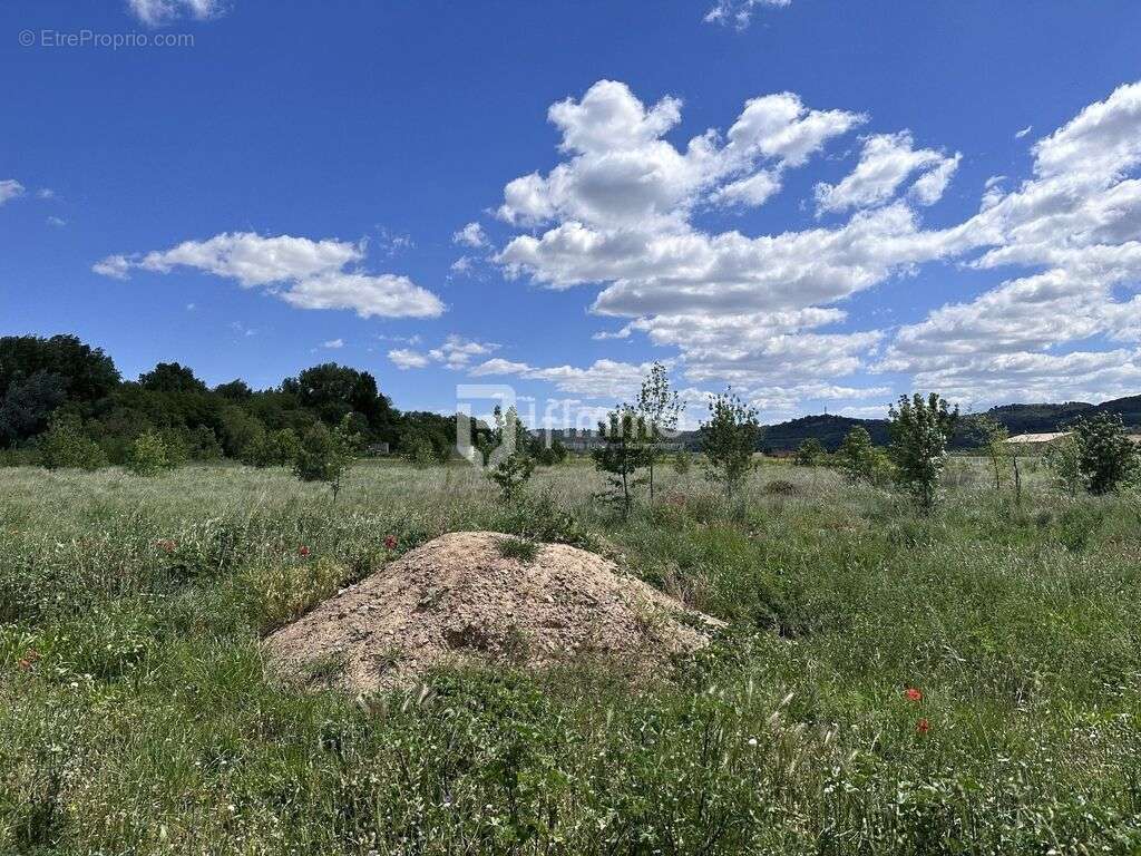 Terrain à CESSENON-SUR-ORB