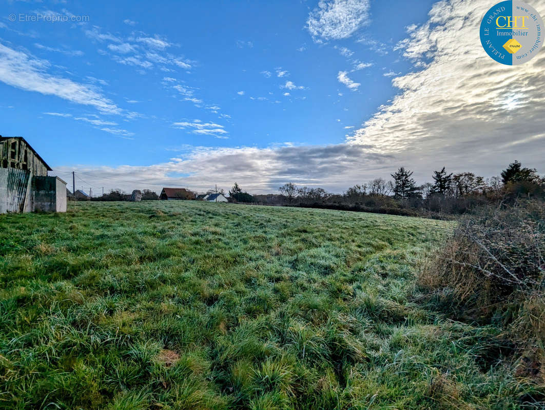 Terrain à MONTENEUF