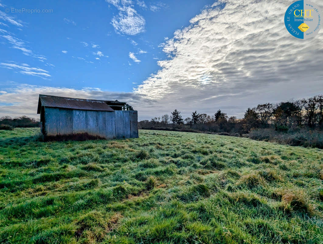 Terrain à MONTENEUF