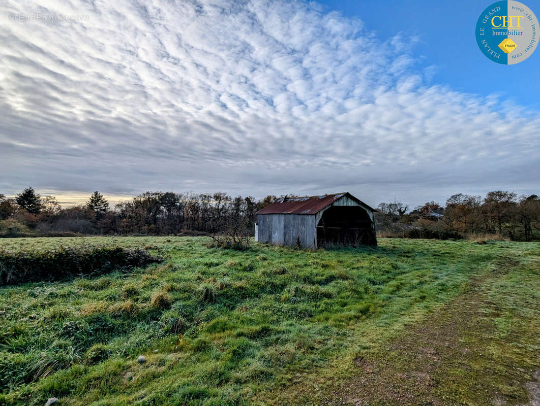 Terrain à MONTENEUF