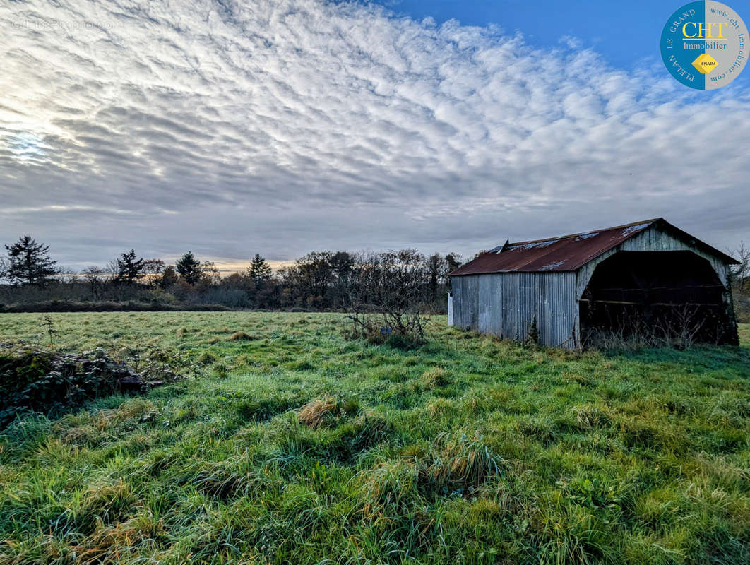 Terrain à MONTENEUF