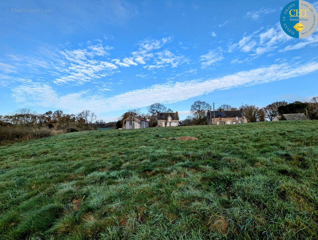 Terrain à MONTENEUF