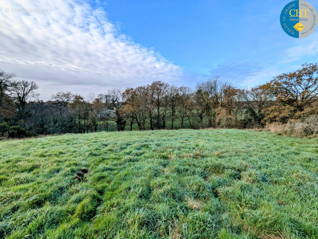 Terrain à MONTENEUF