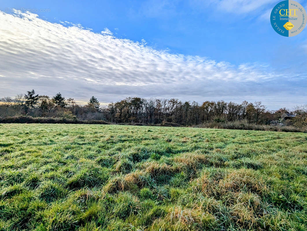 Terrain à MONTENEUF