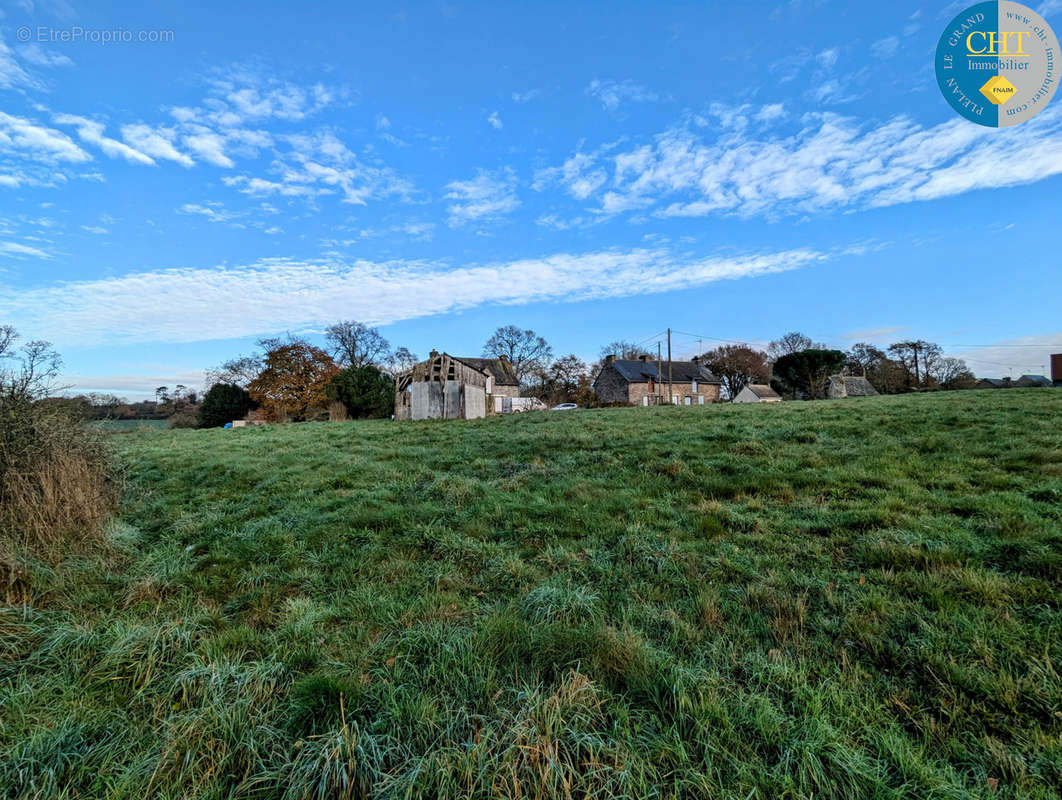 Terrain à MONTENEUF