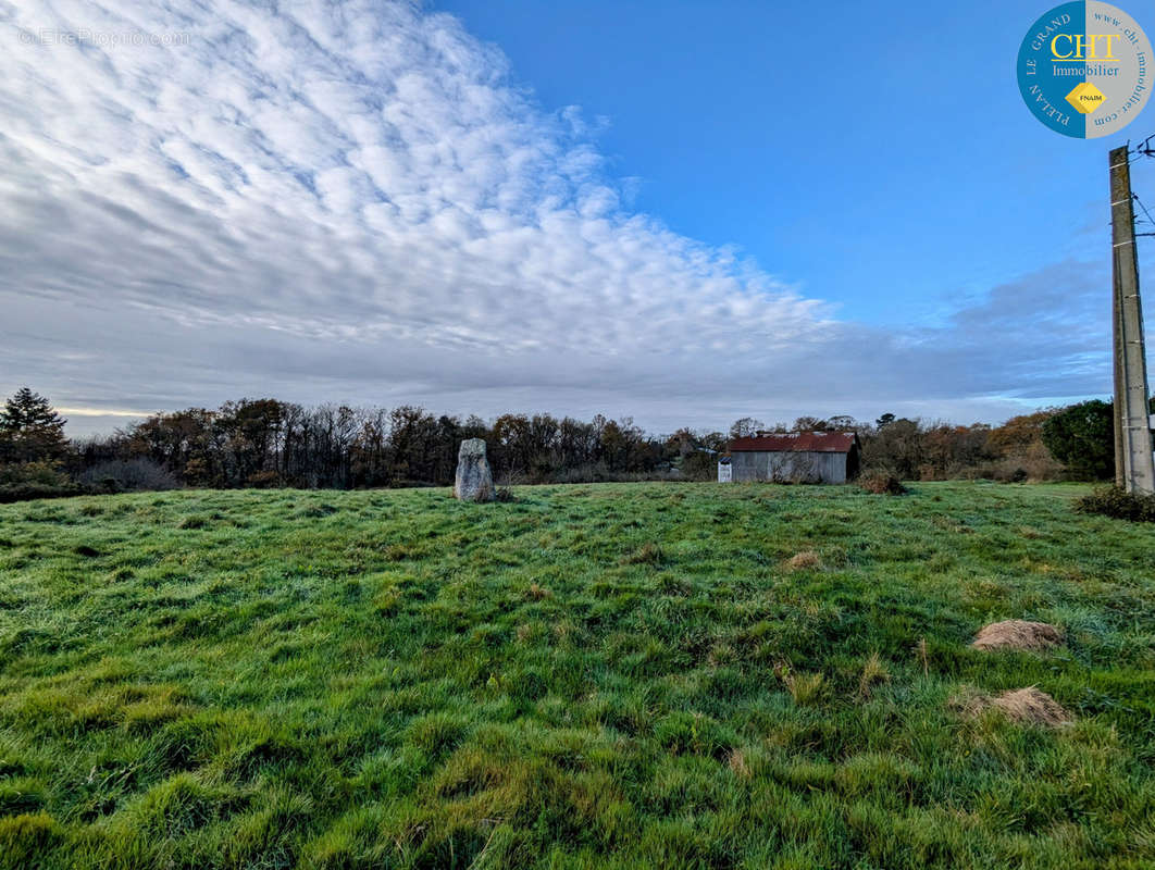 Terrain à MONTENEUF