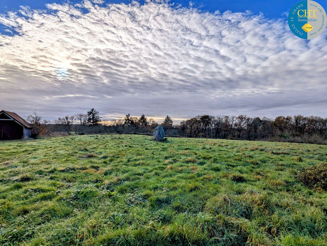 Terrain à MONTENEUF