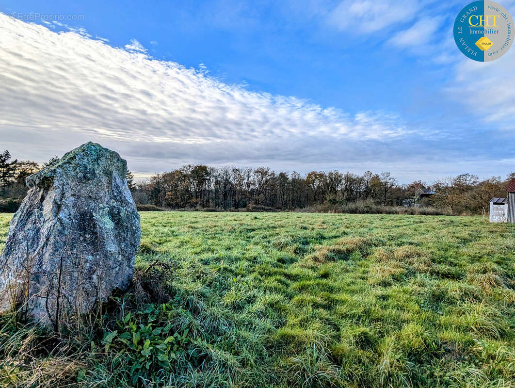 Terrain à MONTENEUF