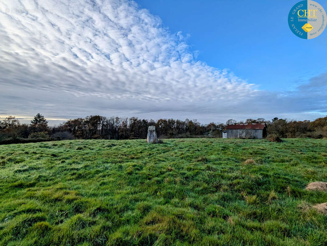 Terrain à MONTENEUF