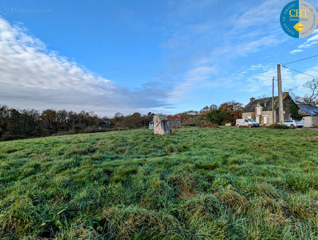 Terrain à MONTENEUF