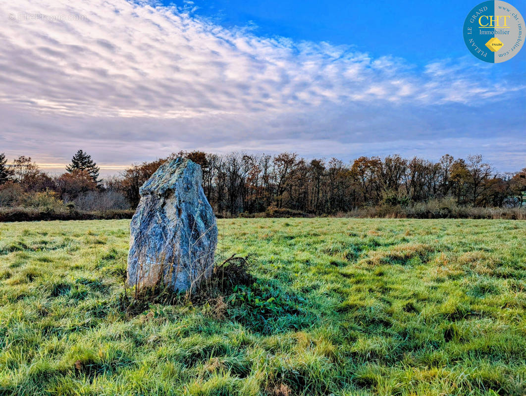 Terrain à MONTENEUF